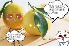 去除甲醛的方法多種多樣，哪種最實(shí)用靠譜